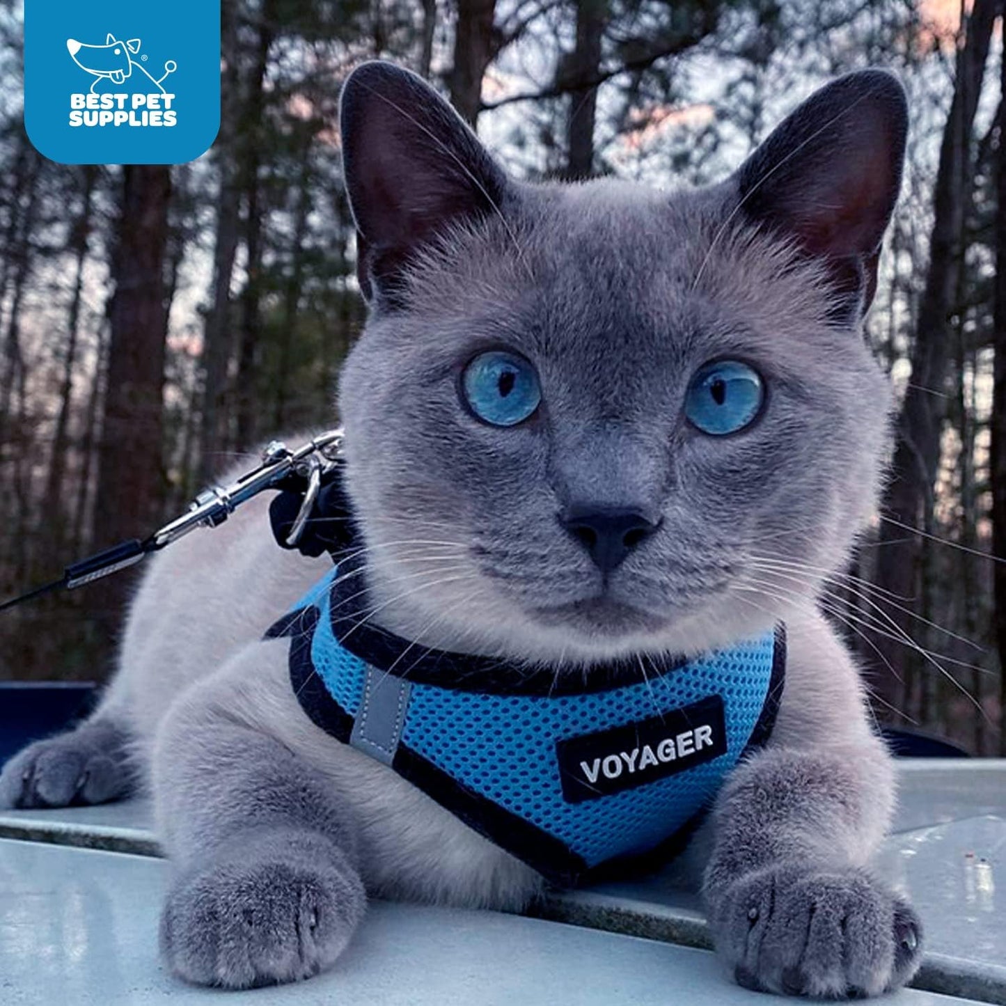 Voyager Step-In Air Harness 