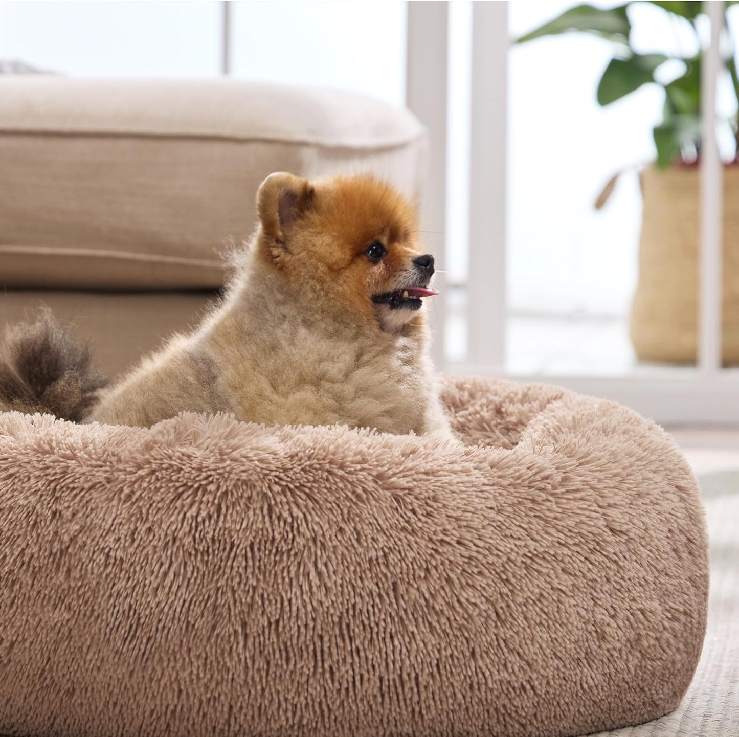 Calming Fluffy Donut Bed