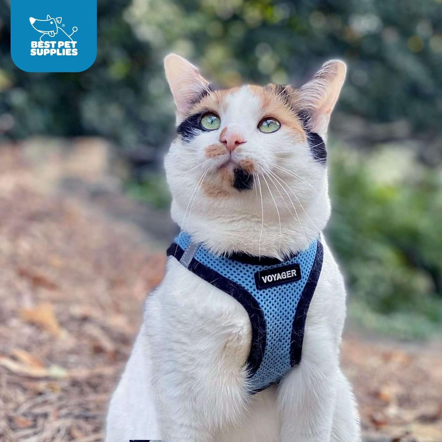 Voyager Step-In Air Harness 