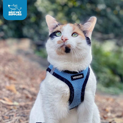 Voyager Step-In Air Harness 