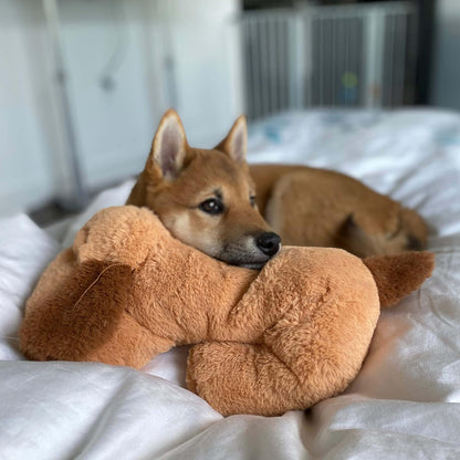 Heartbeat Puppy Toy – Calming Comfort Aid for Dogs