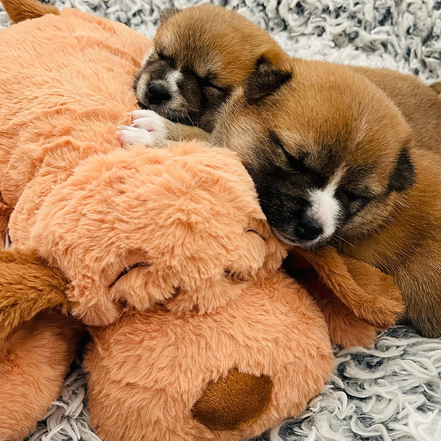 Heartbeat Puppy Toy – Calming Comfort Aid for Dogs