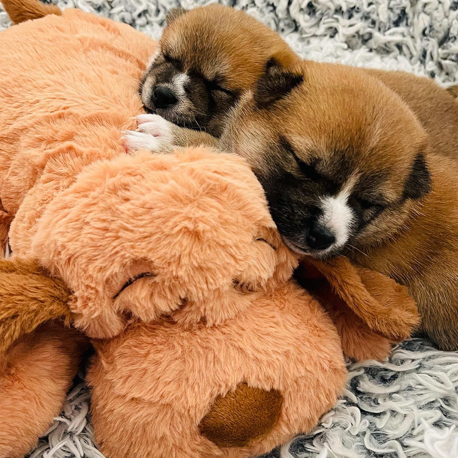 Heartbeat Puppy Toy – Calming Comfort Aid for Dogs