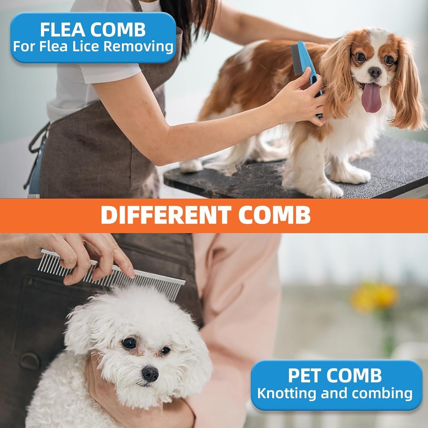 6-Piece Pet Grooming Brush Kit – Deshedding & Care Set
