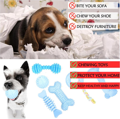 Puppy Toy Set (6-Pack) – Soft & Durable Chew Toys